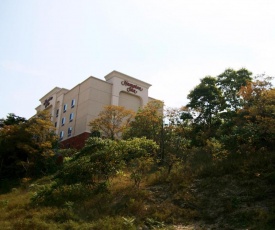 Hampton Inn Pittsburgh Area-Beaver Valley-Center Township