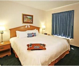 Hampton Inn Ft. Chiswell-Max Meadows