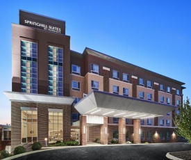 SpringHill Suites by Marriott Roanoke