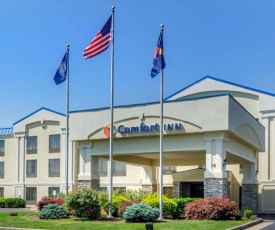 Comfort Inn Waynesboro