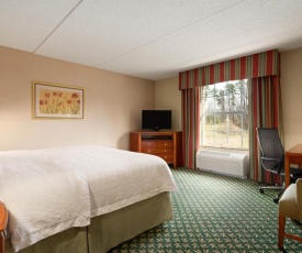 Hampton Inn & Suites Williamsburg-Central