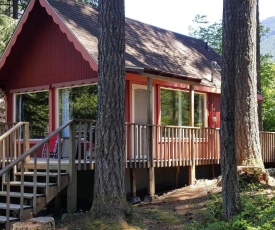 Little Red Cabin minutes to Mt Rainier Entrance