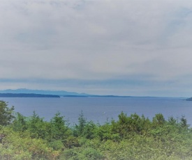 Island View-Spectacular view of Puget Sound and the Olympic Mountains