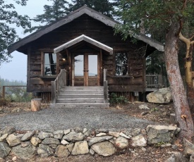 Little Refuge in town