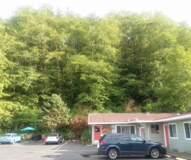 Shiny Motel