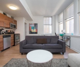 NEWLY RENOVATED 2BR 2BA 1000FT THE ARCH, DOORMAN