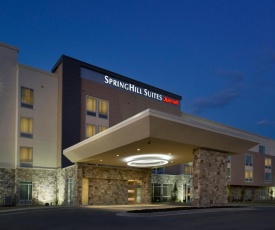 SpringHill Suites Bridgeport Clarksburg