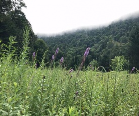 Whispering Meadow