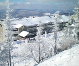 301 D Summit Dr. , Snowshoe Mountains, WV 26209