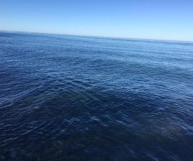 Kenosha Retreat