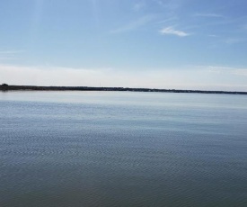 Tesla's Lake Escape