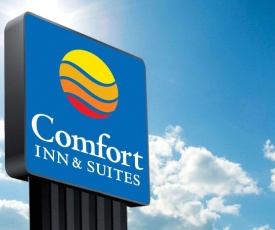 Comfort Inn & Suites Pittsburgh-Northshore