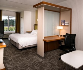 SpringHill Suites Pittsburgh Southside Works