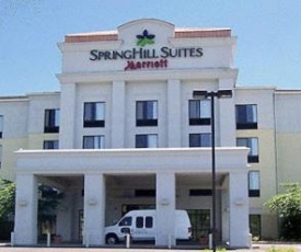 SpringHill Suites West Mifflin