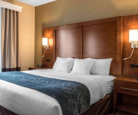 Comfort Suites Scranton near Montage Mountain