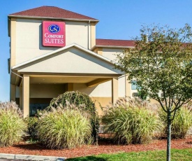 Comfort Suites Bloomsburg