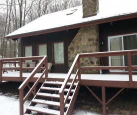 Woodland Modern Cabin close to Skiing, Kalahari Water Park, Camelback and Casino