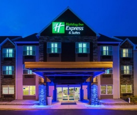 Holiday Inn Express & Suites Wyomissing, an IHG Hotel