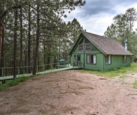Black Hills Cabin with Deck near Mt Rushmore!