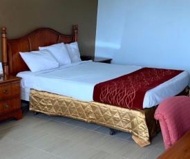 M STAR HOTEL