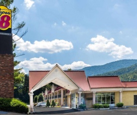 Super 8 by Wyndham Caryville TN