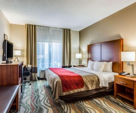 Comfort Inn & Suites Lookout Mountain
