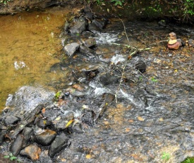 Twin Creeks- Near Ocoee River