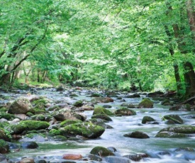 Cork's Creekside