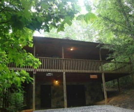 Into the Wild Cabin