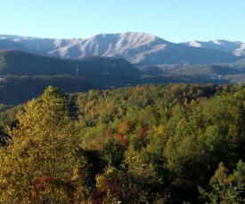 Bear Crossing, 2 Bedrooms, Pets, Hot Tub, Fireplace, WiFi, Sleeps 6