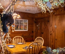 Beary Wild Cabin in the Smokies