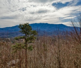Kear's Mountain Magic, 1 Bedroom, Hot Tub, Grill, Jetted Tub, Sleeps 2