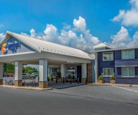 Comfort Inn Lancaster County North