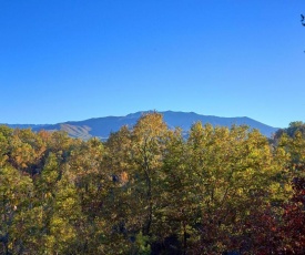 Moonshiners View