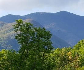 Mountain Serenity