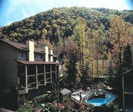 Secluded Family Condo in the Beauty of the Smokies - One Bedroom #1