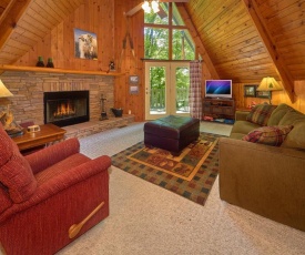Sweet Blessings, 2 Bedroom, Pool Access, WiFi, Fireplace, Views, Sleeps 6