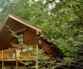 Wild Thing #1525 by Aunt Bug's Cabin Rentals