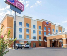 Comfort Suites East Knoxville