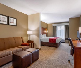 Comfort Suites North Knoxville