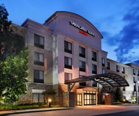 SpringHill Suites Knoxville At Turkey Creek