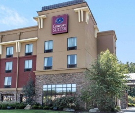 Comfort Suites Kodak Sevierville