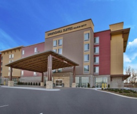 SpringHill Suites by Marriott Chattanooga North/Ooltewah