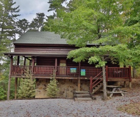 Black Bear Hibernation #2825 by Aunt Bug's Cabin Rentals