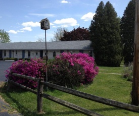 Blue Sky Motel