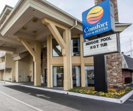 Comfort Inn & Suites at Dollywood Lane