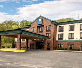 Comfort Inn & Suites Rogersville