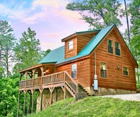 A Bear'S Eye View #251 by Aunt Bug's Cabin Rentals