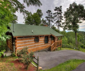 Apple Bear View #116 by Aunt Bug's Cabin Rentals