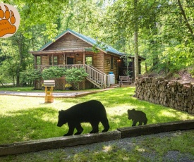 Cozy Bear